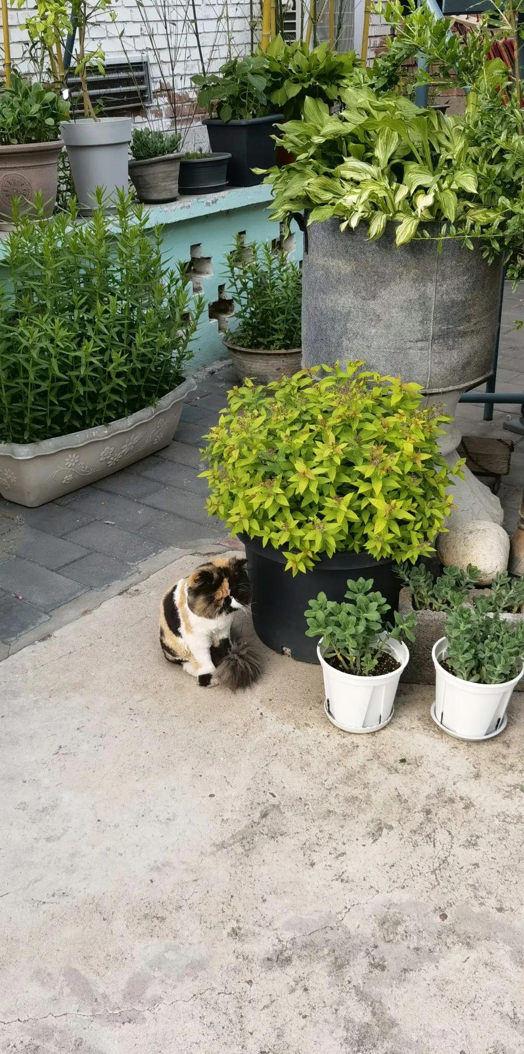 狂飙播出后张颂文有多火,狂飙主演张颂文经纪人