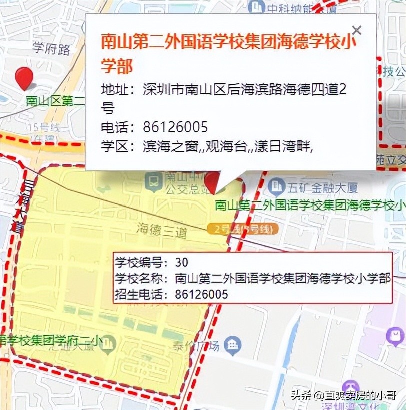 南山区小学学区划分图,南山各小学积分