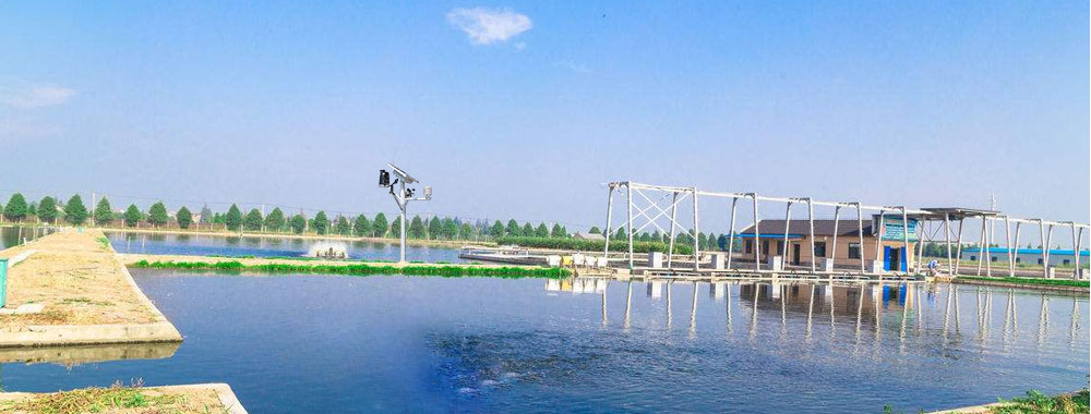 甲鱼怎么养是最好的,养甲鱼技术视频教程