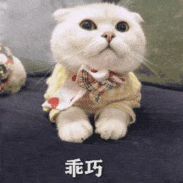 工资待遇最好的top10,薪资待遇高的工作有哪些