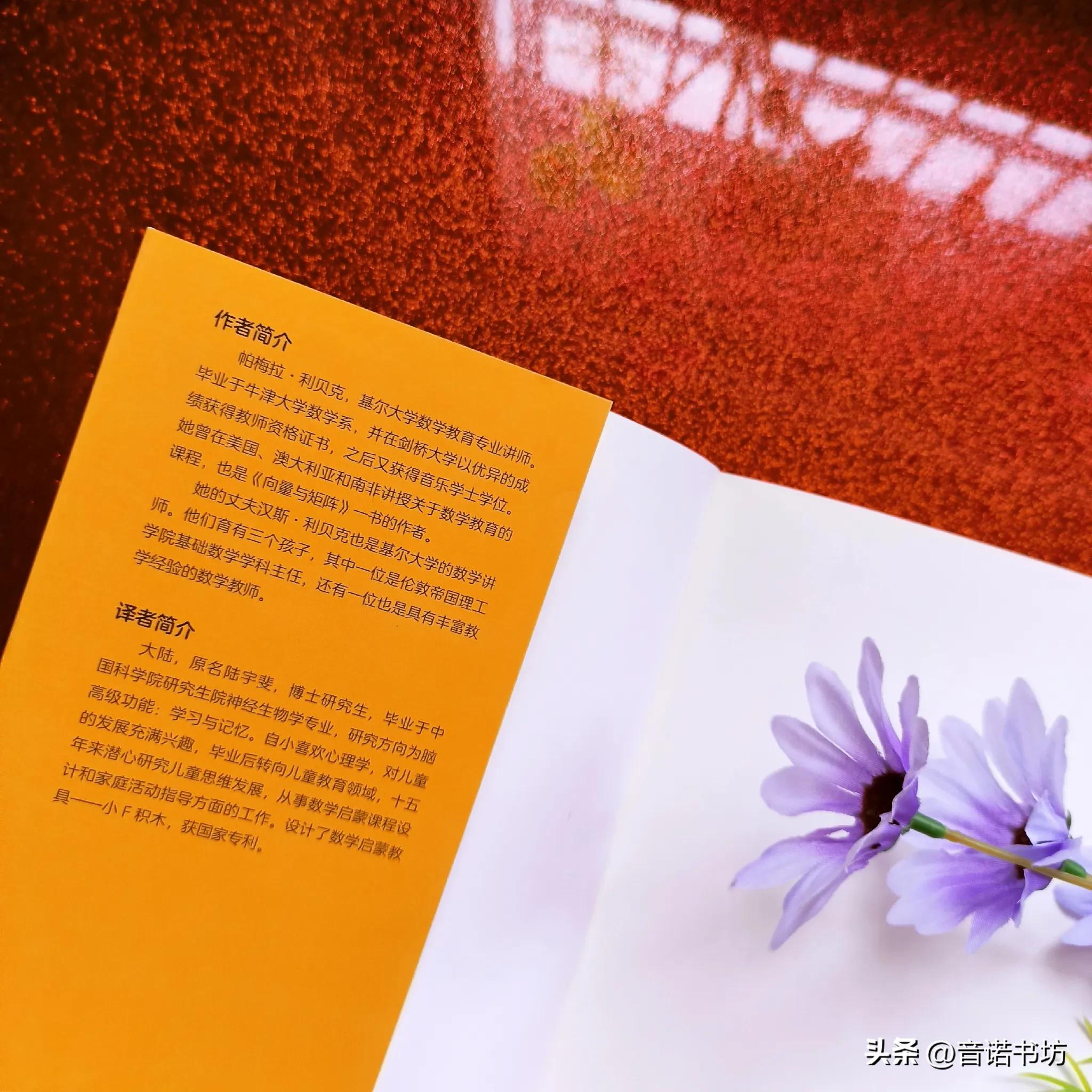 孩子做数学精力不够怎么回事,孩子一小时只做了几道数学题如何