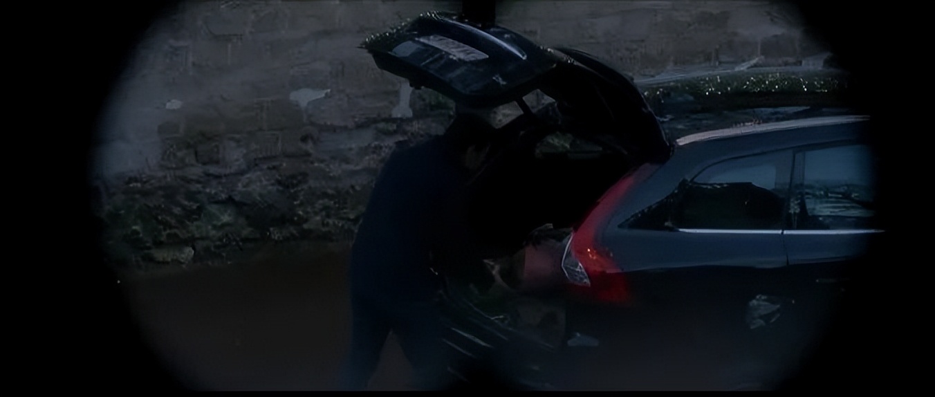 黄暴导演合作顶级女演员，情节狗血至极，无视道德底线，还被大赞