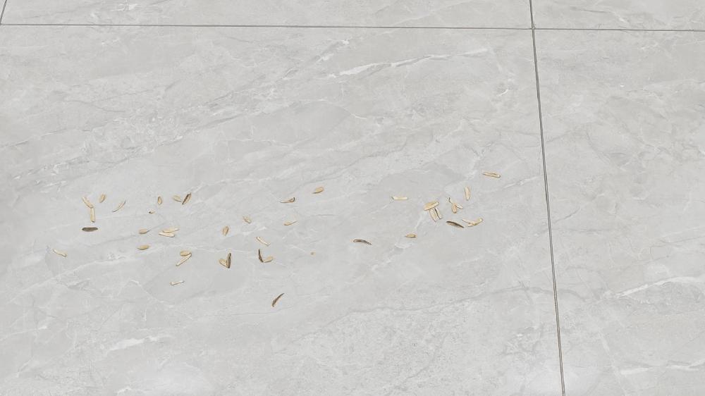 618石头p10能降价多少,618选购指南布艺沙发