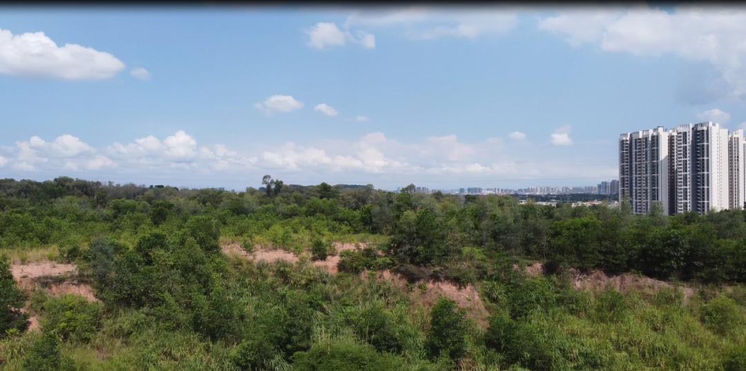 惠州最新公立学校,惠州四所学校更名