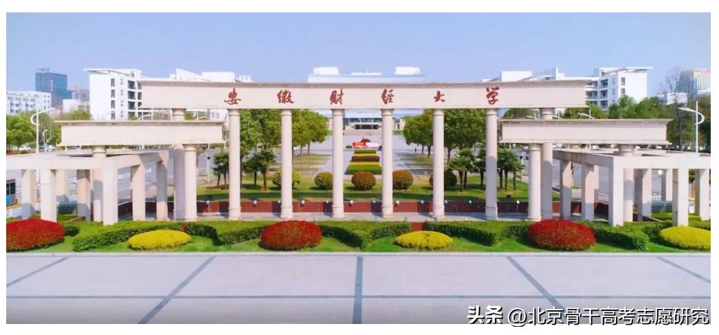 瀹夊窘璐㈢粡澶у瀹夎储瀛﹂櫌,瀹夊窘瀹夎储瀛︽牎