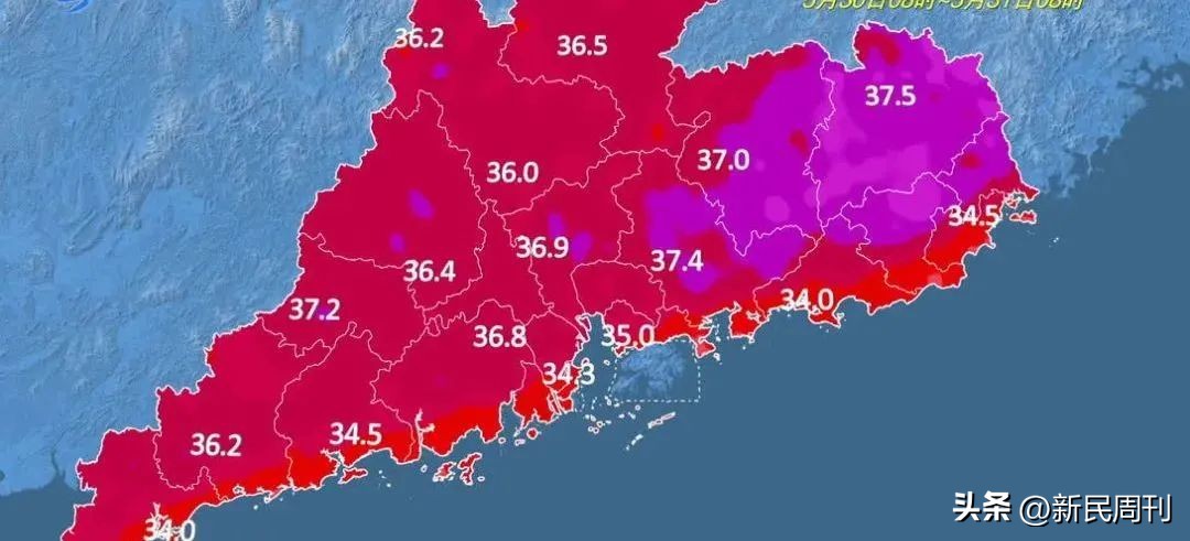 上海影城的发展,上海影院恢复开业