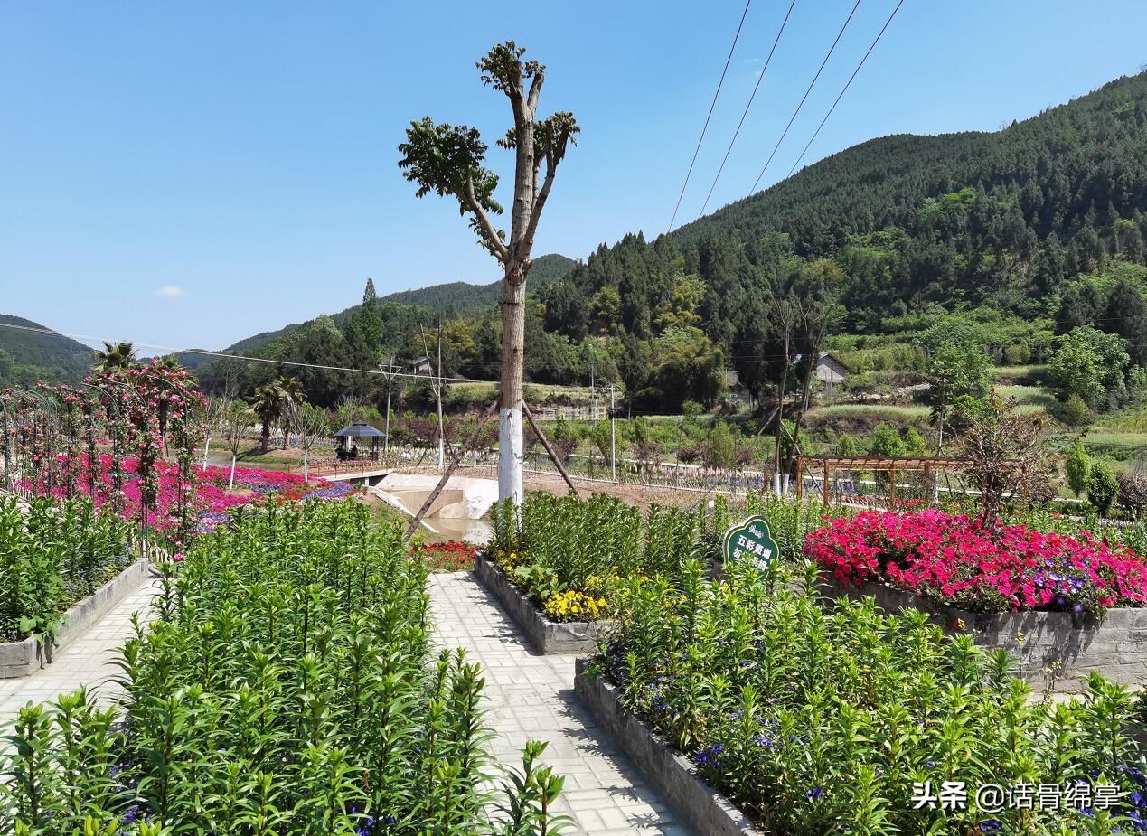 盐亭县乡村振兴成效,盐亭打造美丽乡村