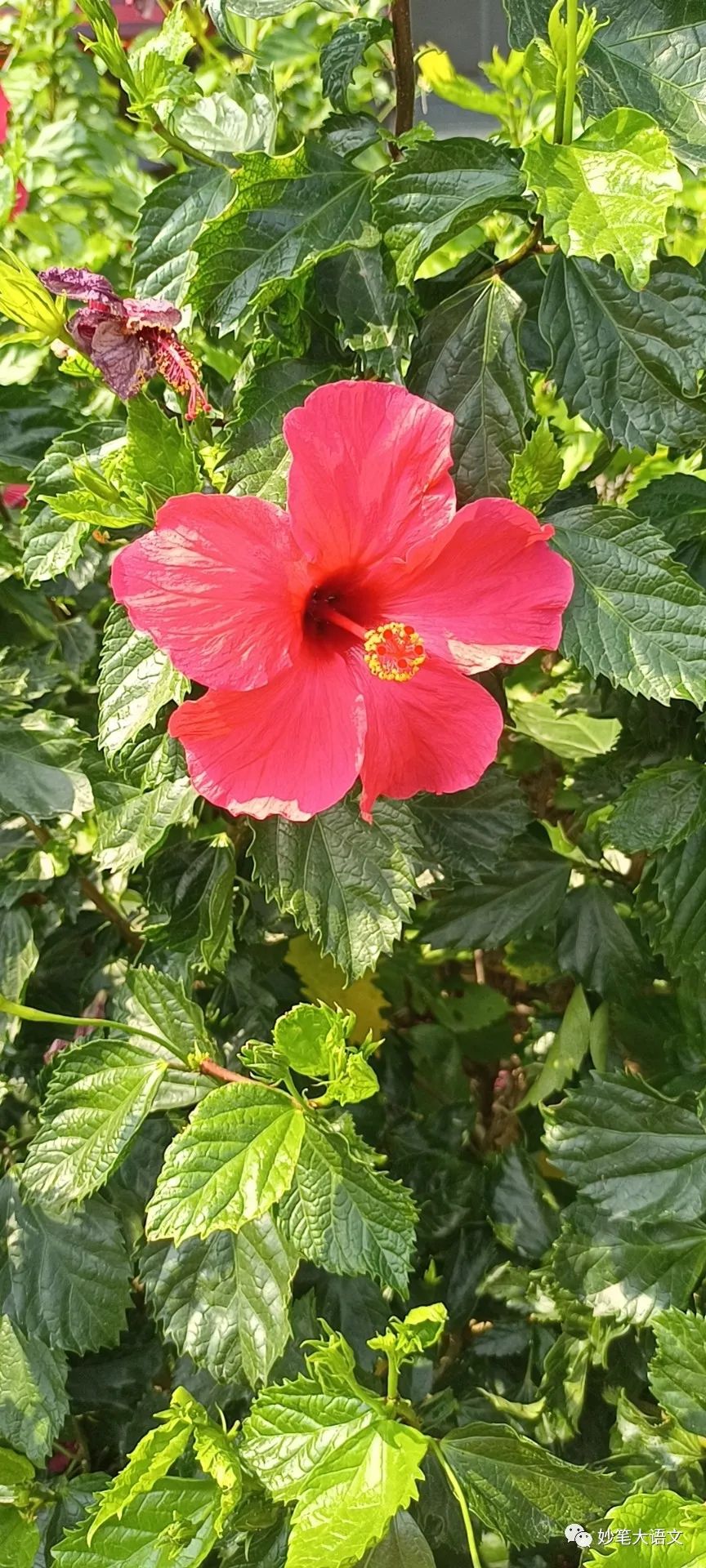 二十年后的母校300字,二十年后的母校500字优秀作文