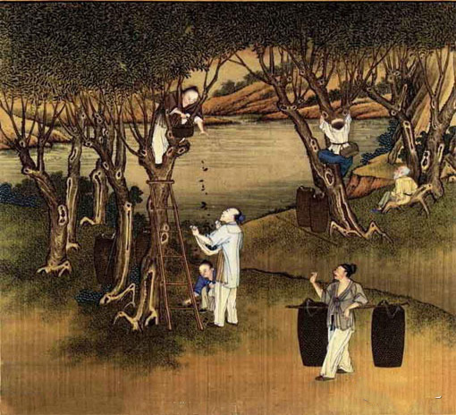 蓟州方言大全集,蓟州方言日常用语300句