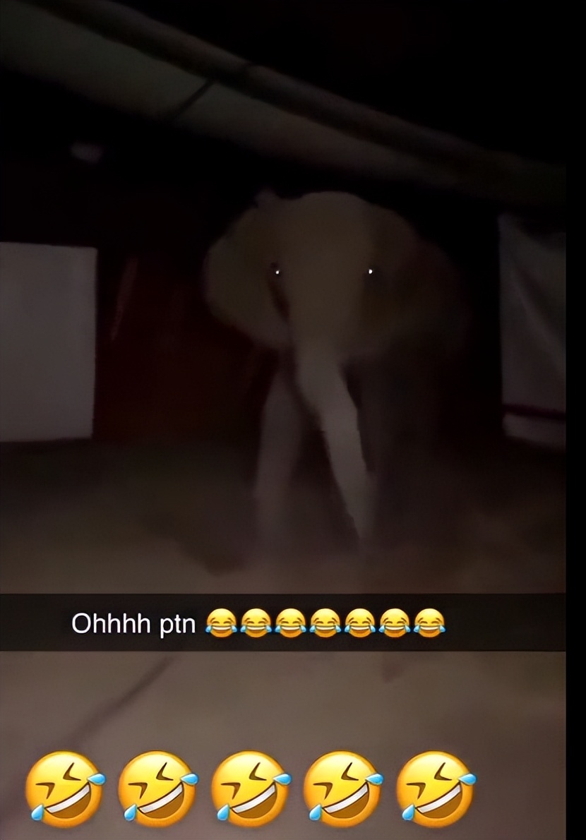 娉曞浗鏃呮父宸村＋琚姭浜嬩欢,鍦ㄦ硶鍥界殑涓浗鏃呮父澶у反琚牳