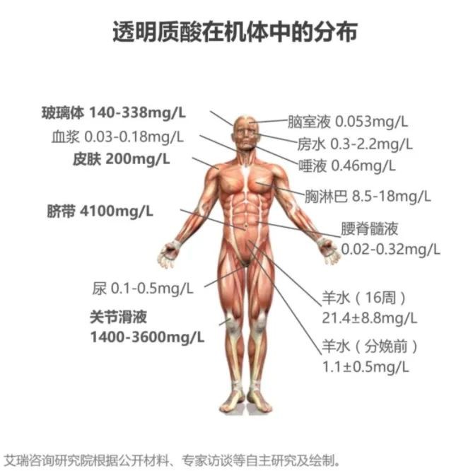 口服玻尿酸对大脑的好处,口服玻尿酸功效与作用