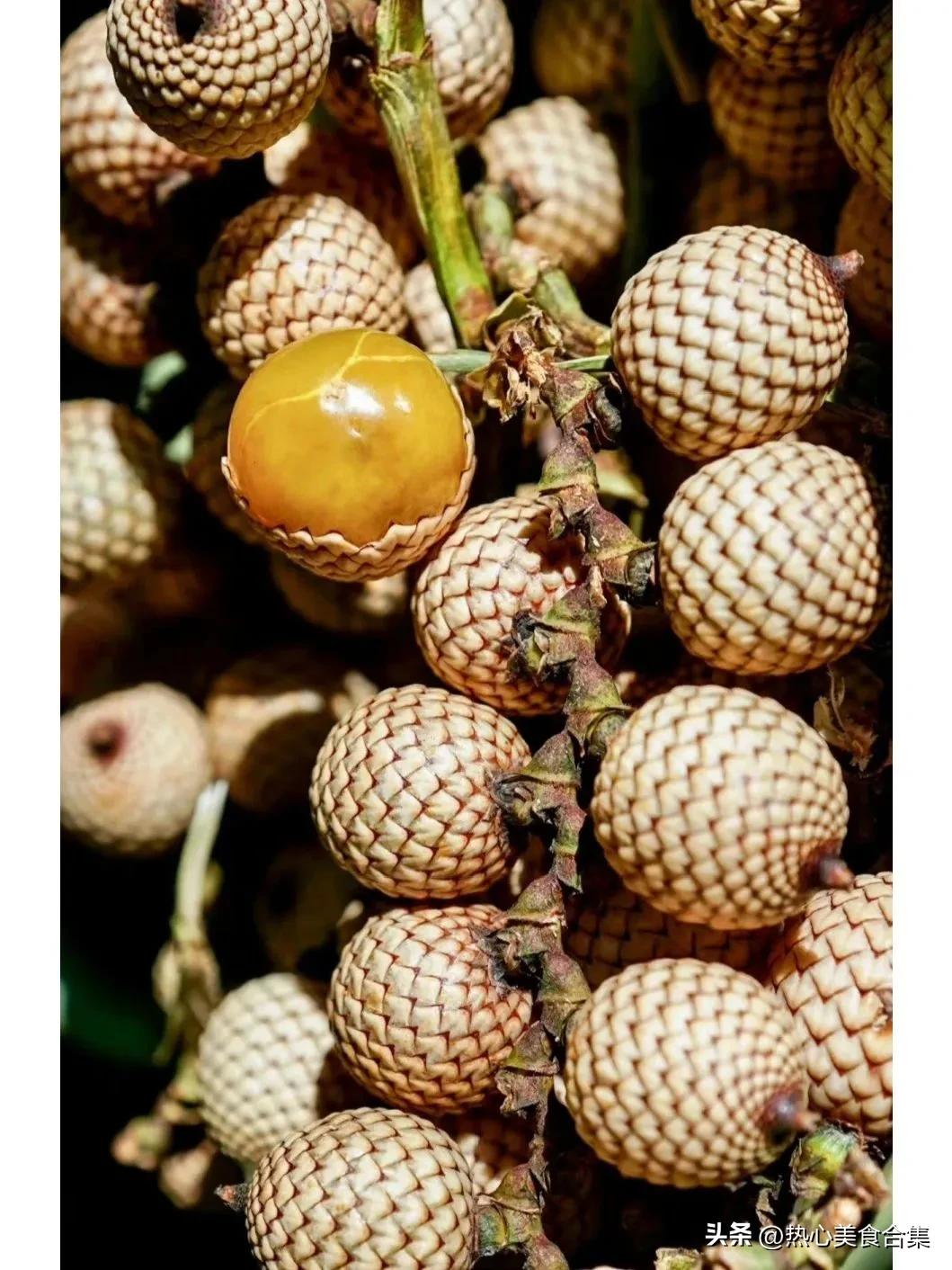 奇葩水果你见过但你肯定没吃过,奇葩水果图鉴你能认得出几种呢