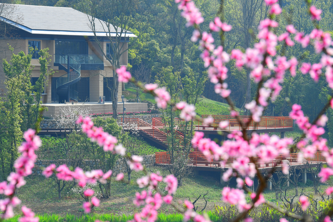 湖光山色美不胜收,湖光山色风景优美