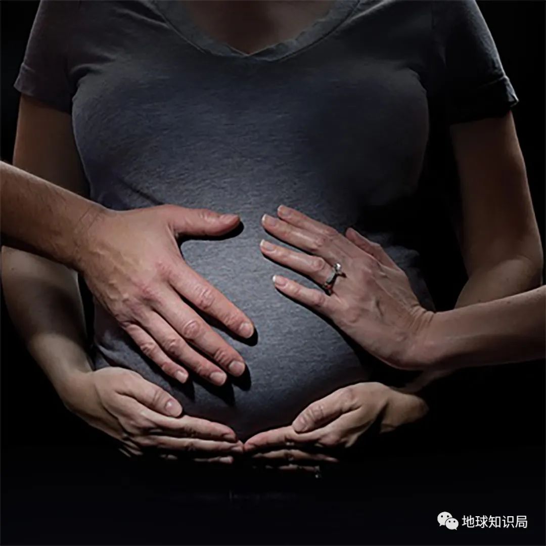 地球知识局俄罗斯,地球知识局俄罗斯远东