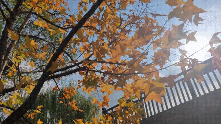 最值得打卡的动物园,国庆必打卡动物园推荐