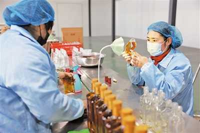 宁夏在新发展格局中的定位,关于宁夏枸杞的十四五规划