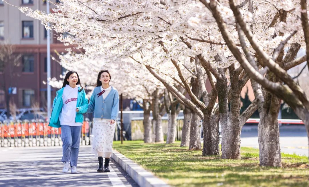 为什么要考大工？留言区给你答案！