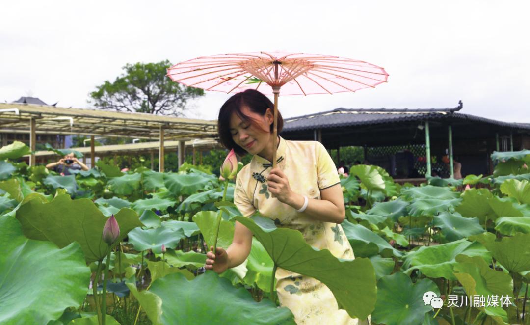 灵川廉政文化村,清廉乡村建设廉政文化