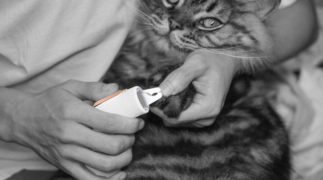 3d打印设备都有哪些,3d打印能打印什么产品