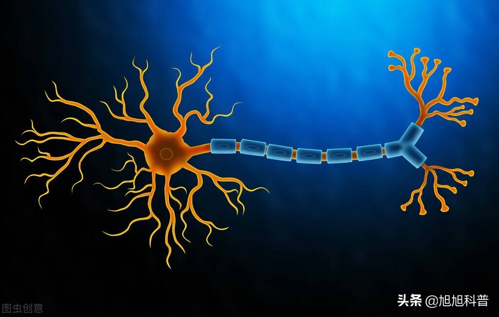 蠕虫可以杀死癌症细胞吗,科学家利用蠕虫杀死贪吃蛇癌细胞