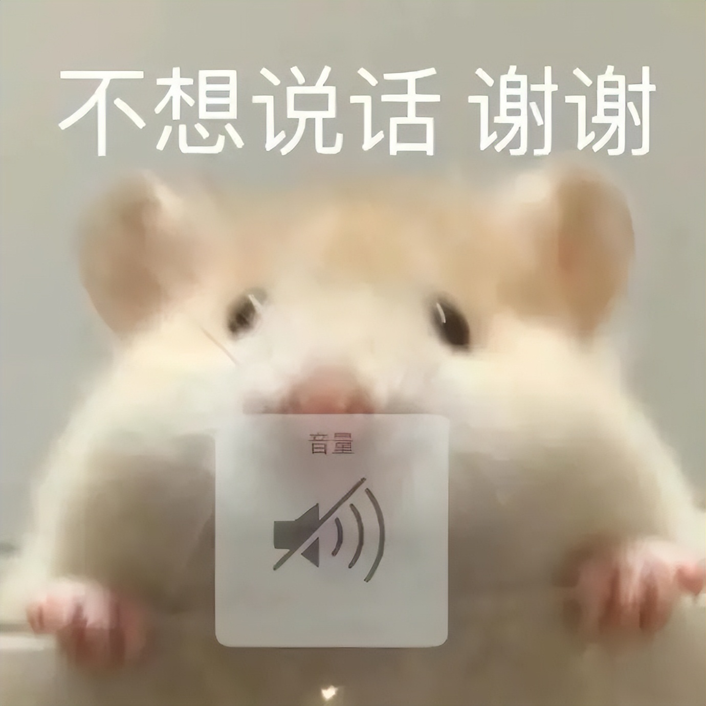 冬天头皮屑多和脸脱皮解决小妙招,冬天洗完头头皮上一层白色头皮屑