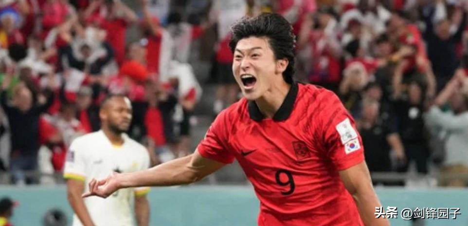 蓝衣武士刺穿红格子？桑巴舞迷倒太极虎——乱侃世界杯之十九