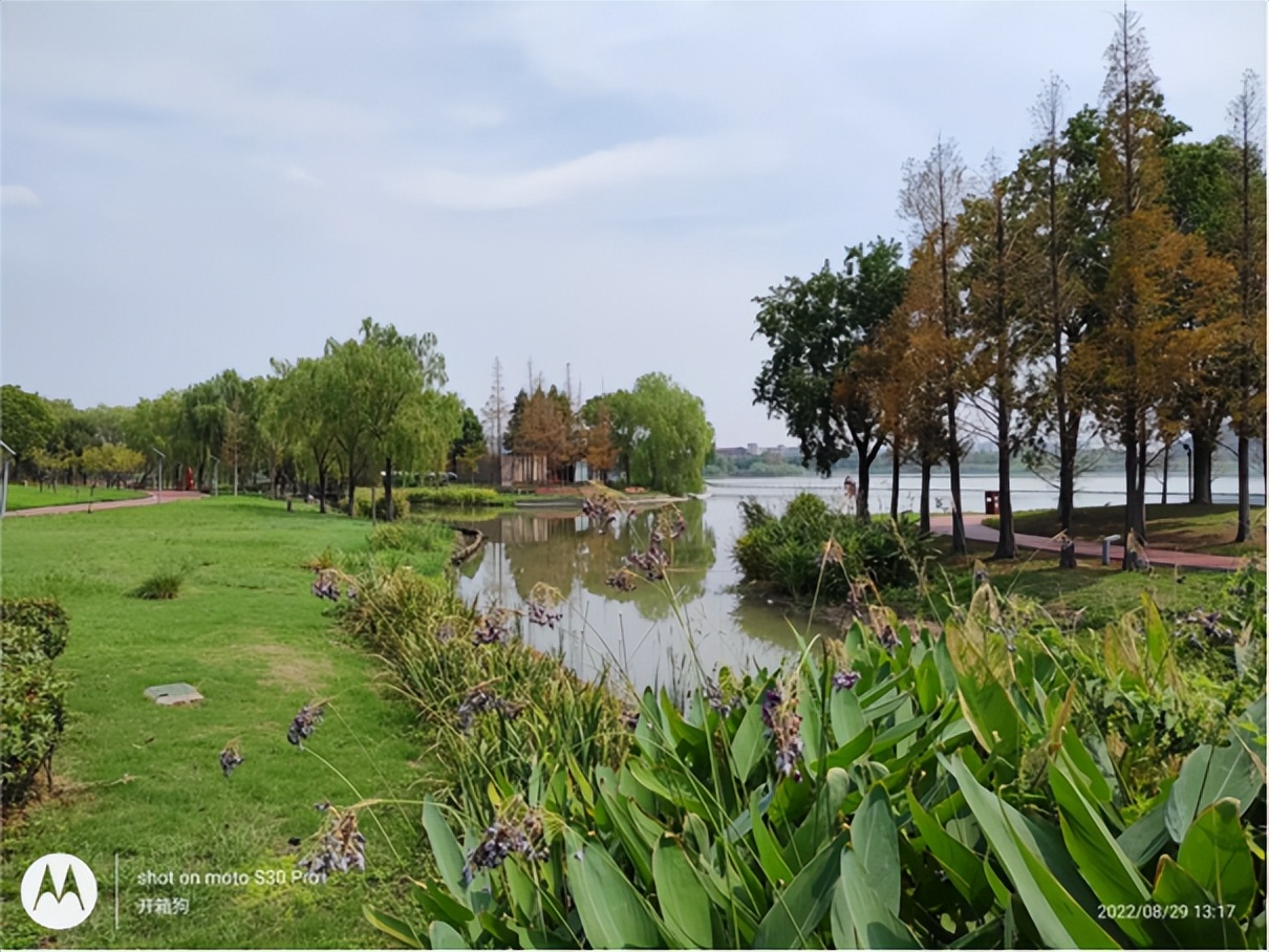 motos30pro缁埅鎷嶇収璇勬祴,motos30pro鎷嶇収娴嬭瘎