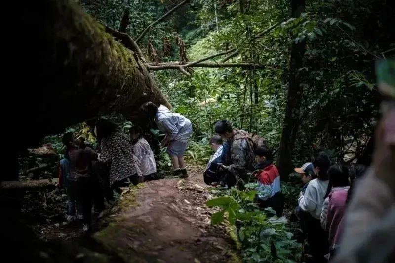 云南六一儿童节旅游攻略,云南适合小朋友旅游的地方