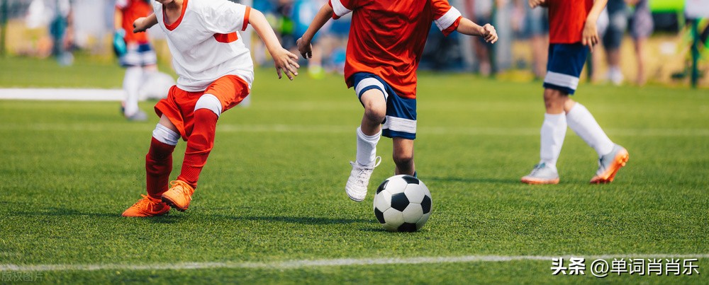 有言有味视频,有言有味