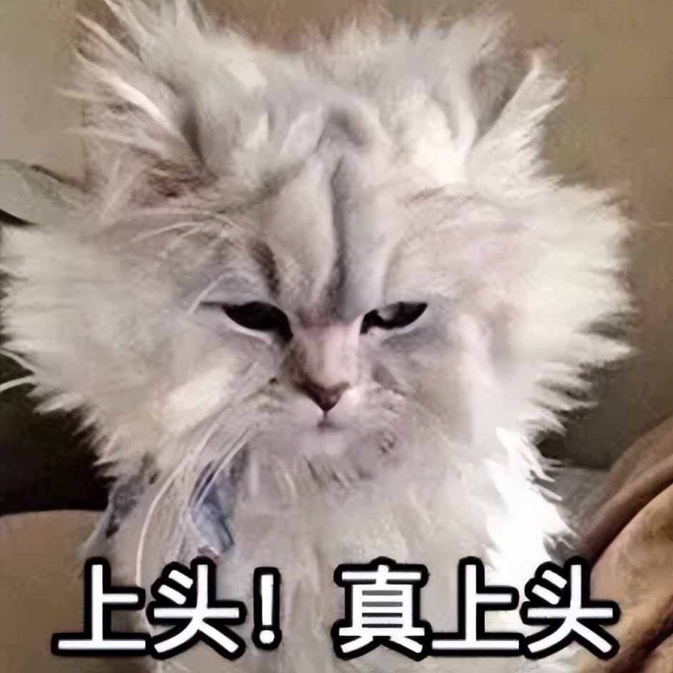 加入小区闲置群,我卸掉了淘宝和抖音,还治好了精神内耗