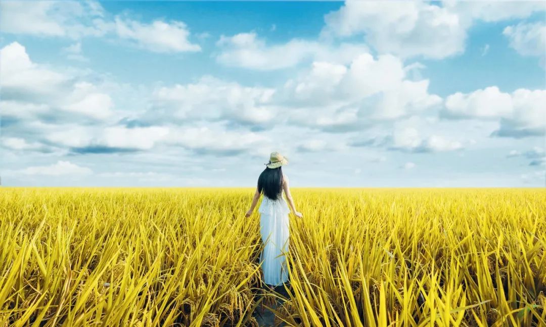 说话的最高境界是幽默,说话的最高境界半真半假