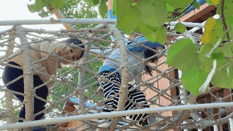 孩子上全托班的最佳年龄,幼儿刚上托班适合上什么课程