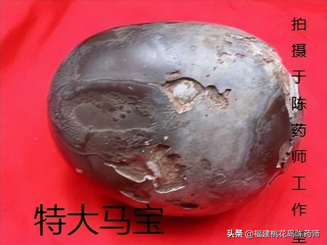 平肝中药,平肝火的中药名称