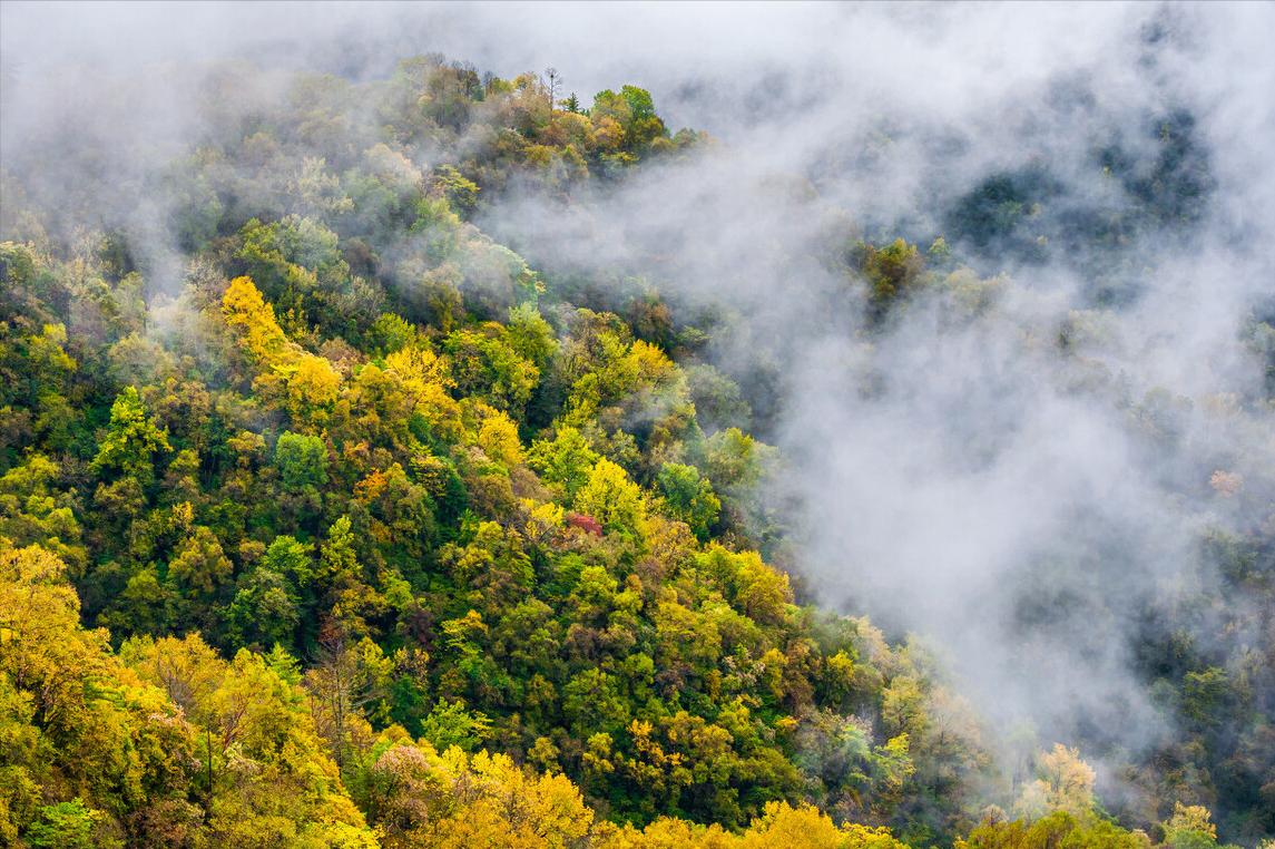 李商隐的夜雨寄北写于何年,李商隐的夜雨寄北表达什么