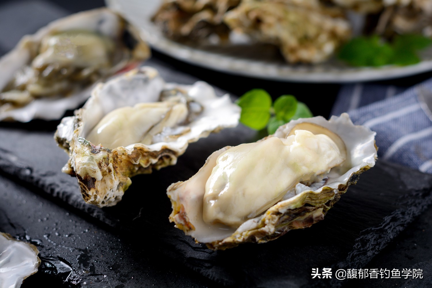 钓海鱼用什么鱼饵最好,钓海鱼鱼饵什么比较好吃