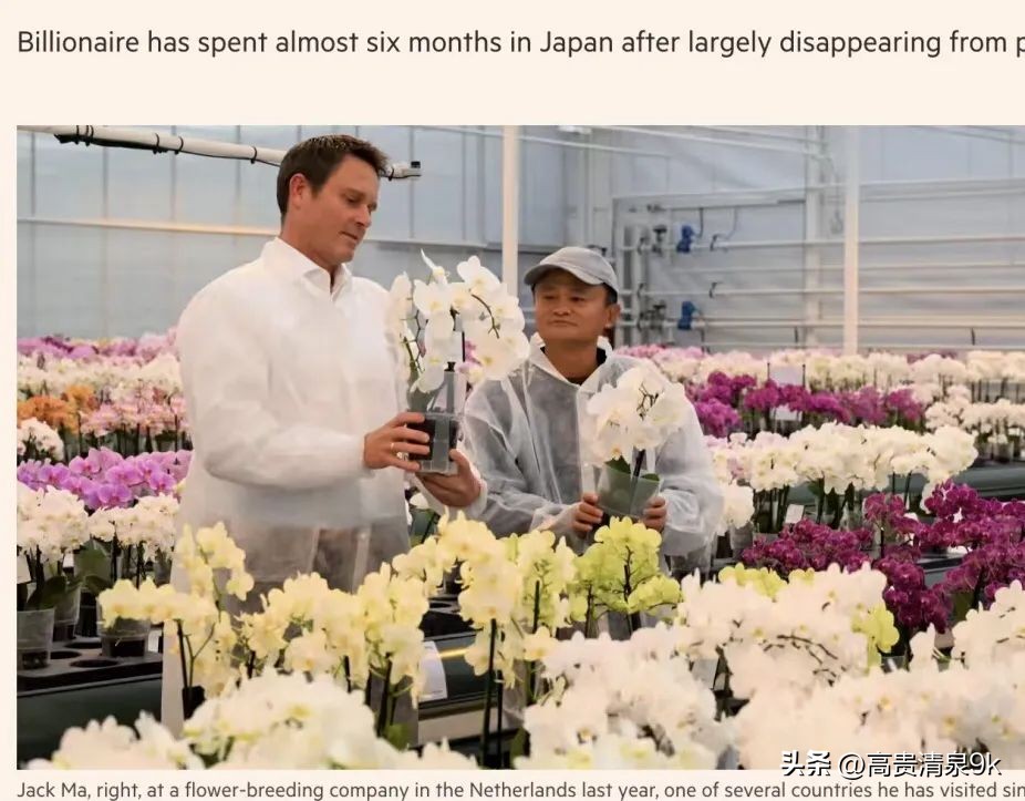 4月1恢复直航，马云刚去过的宝藏免签海岛藏不住了！