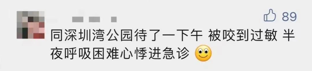 去公园可怕的虫子,去公园如何避免蚊虫叮咬