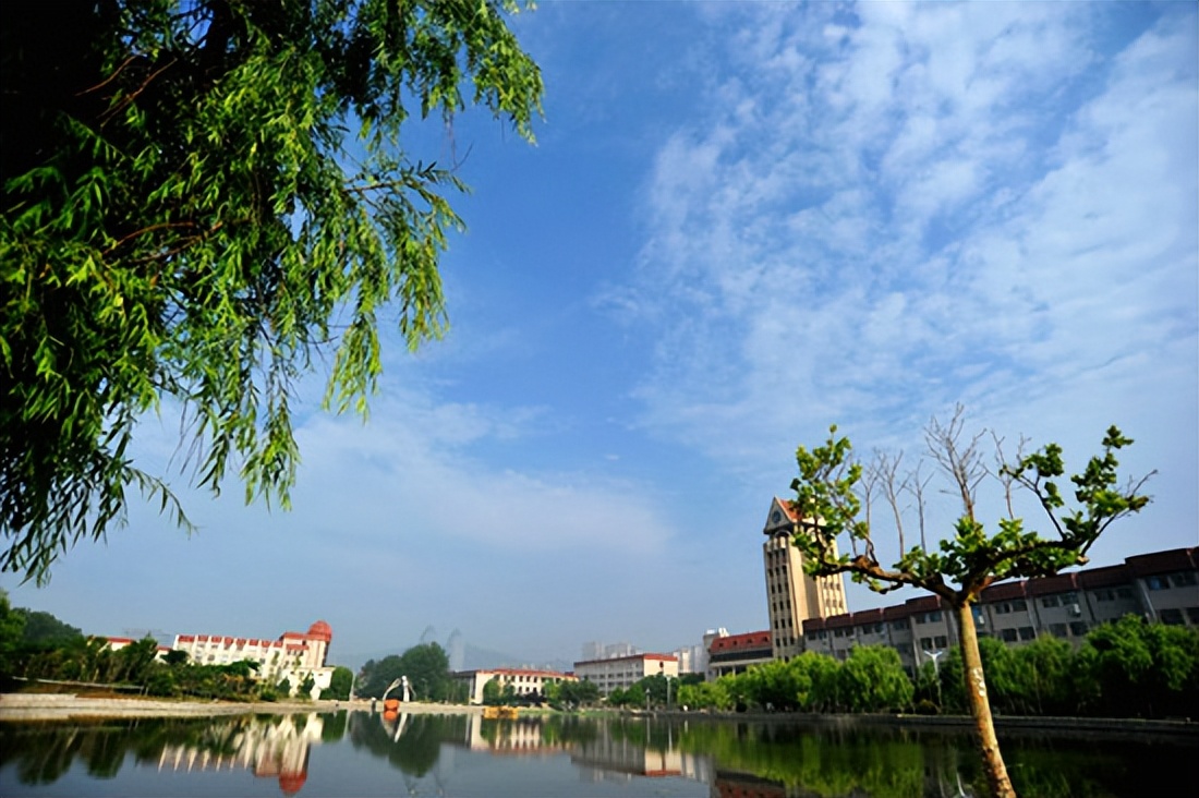 根正苗红的气质,根红苗正才能读的大学