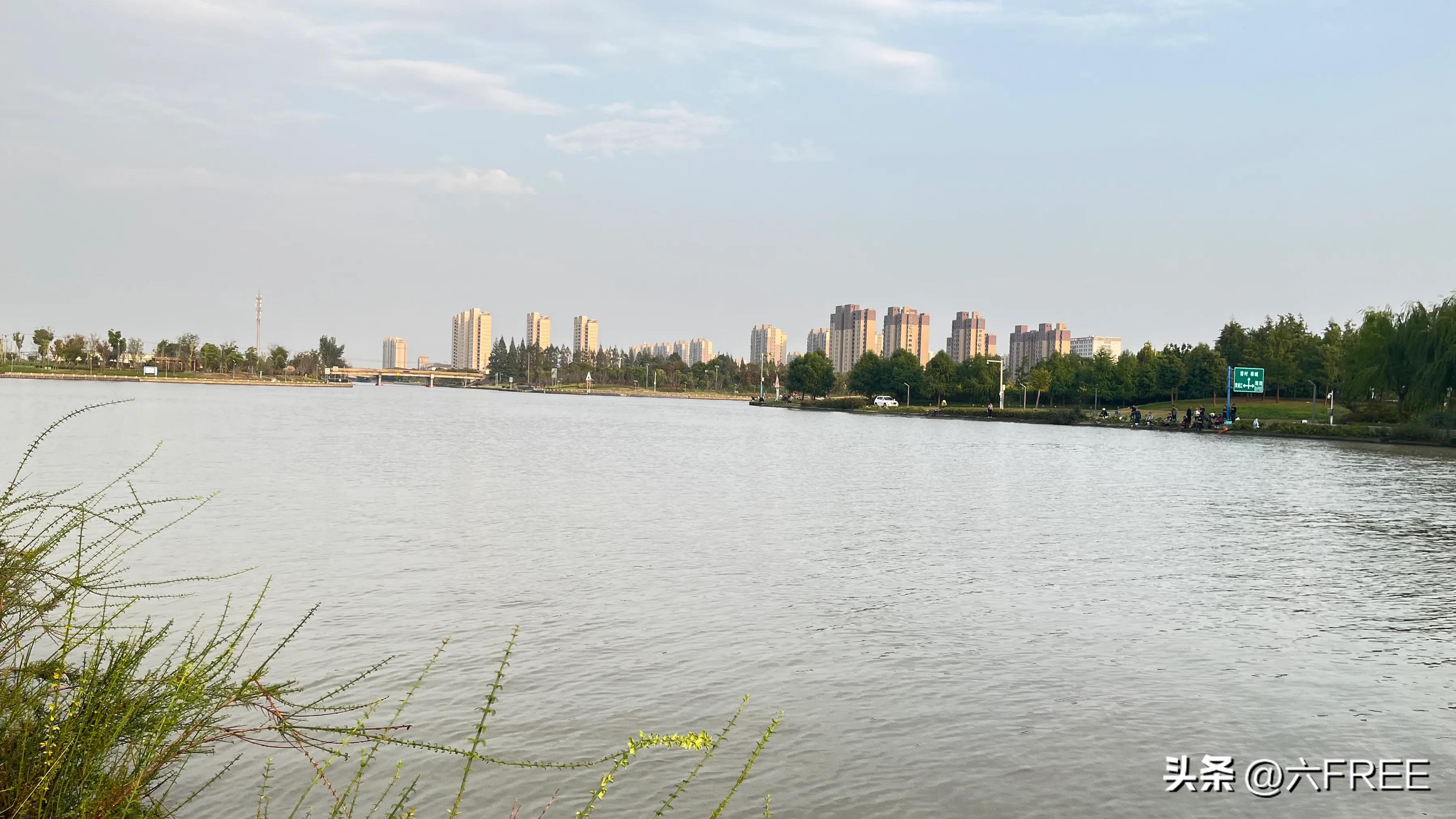 上海之鱼好玩不,上海之鱼公园游玩攻略