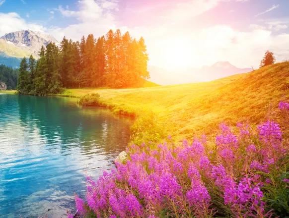 真实大自然风景图片手机壁纸,花草树木壁纸高清风景图片