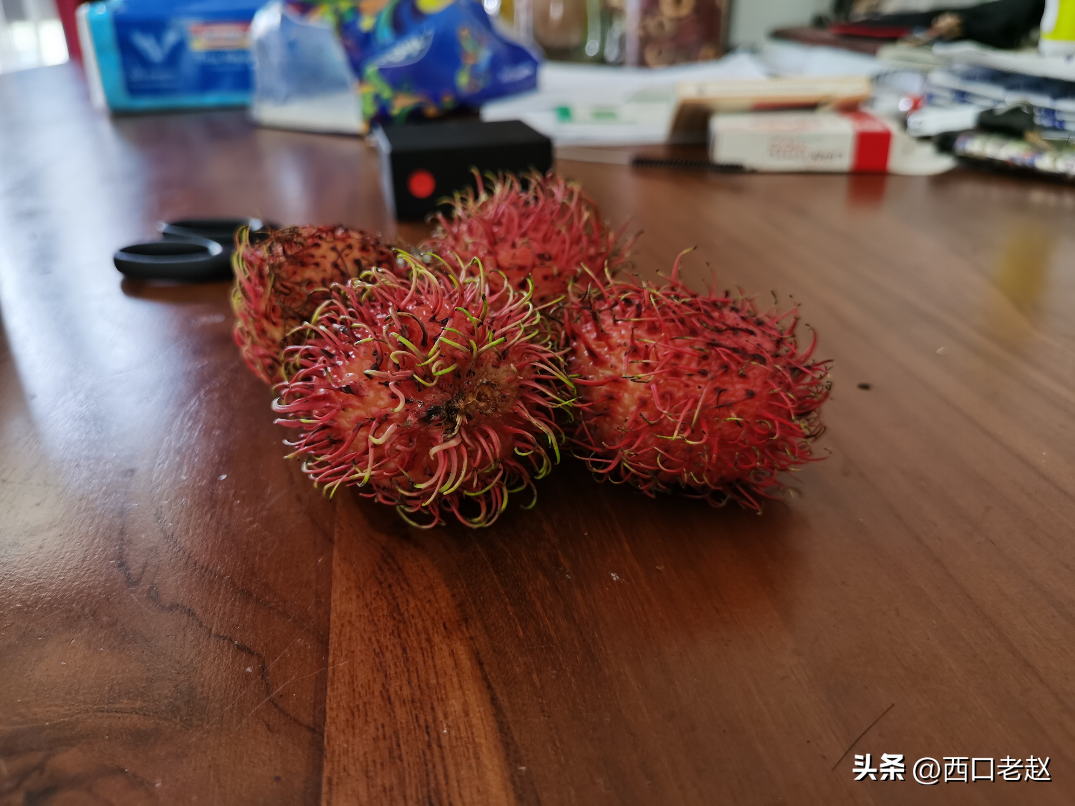 行走在国外的岁月33——致敬我的海外生涯