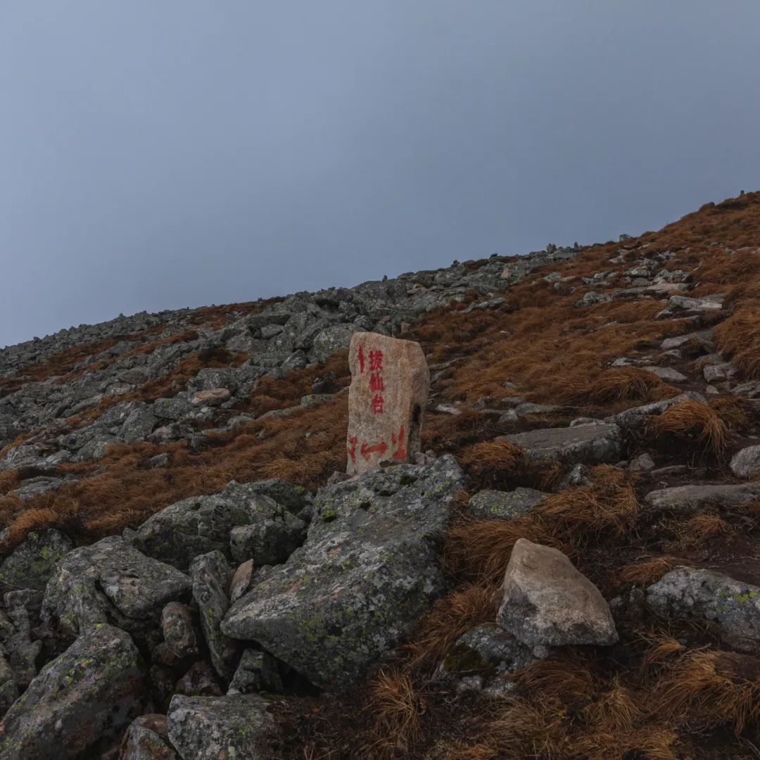 登太白山感受,太白山景区登顶拔仙台