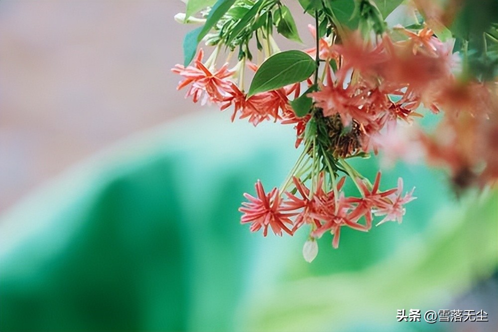 很爱一个人应该怎么办,感情患得患失怎么治疗