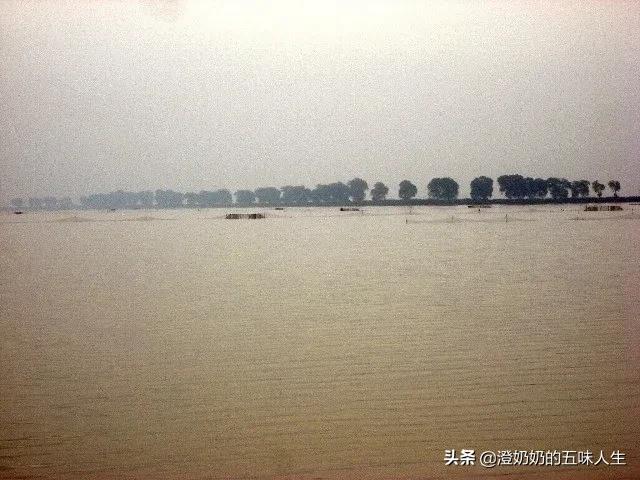 天津宁河七里海现在有什么玩的,宁河七里海五一