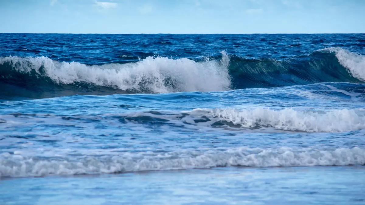 离职后无所适从,离职后不辞而别