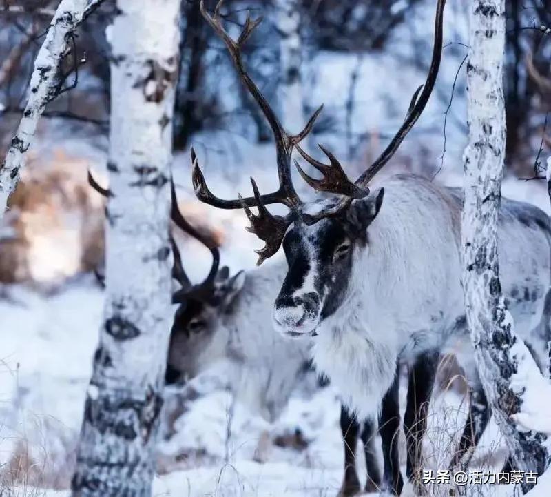 哪里开始供暖了,现在哪里供暖了
