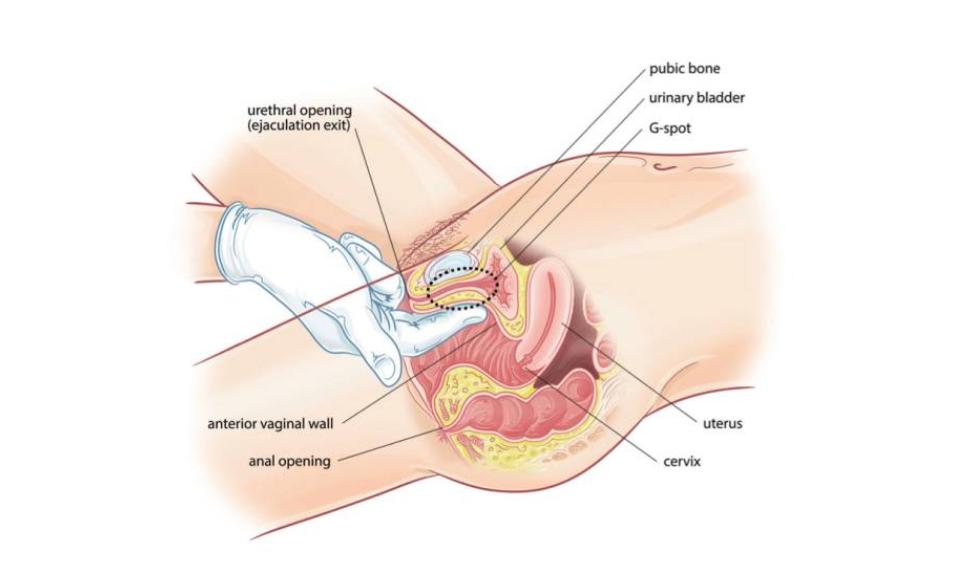 阴道松弛有哪些症状要怎么办,阴道松弛还有什么症状