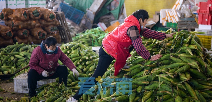 济南市菜篮子工程配送,济南市菜篮子工程