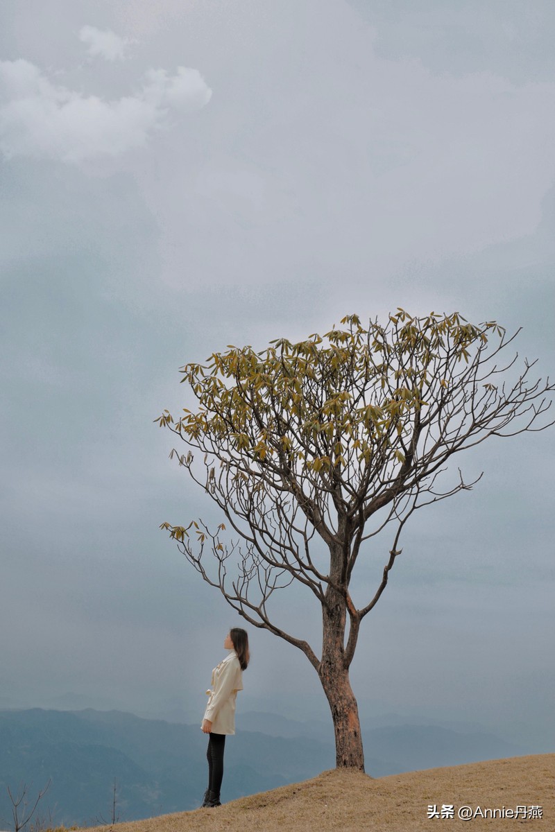 四川万源市旅游攻略,四川达州周边旅游攻略景点必去