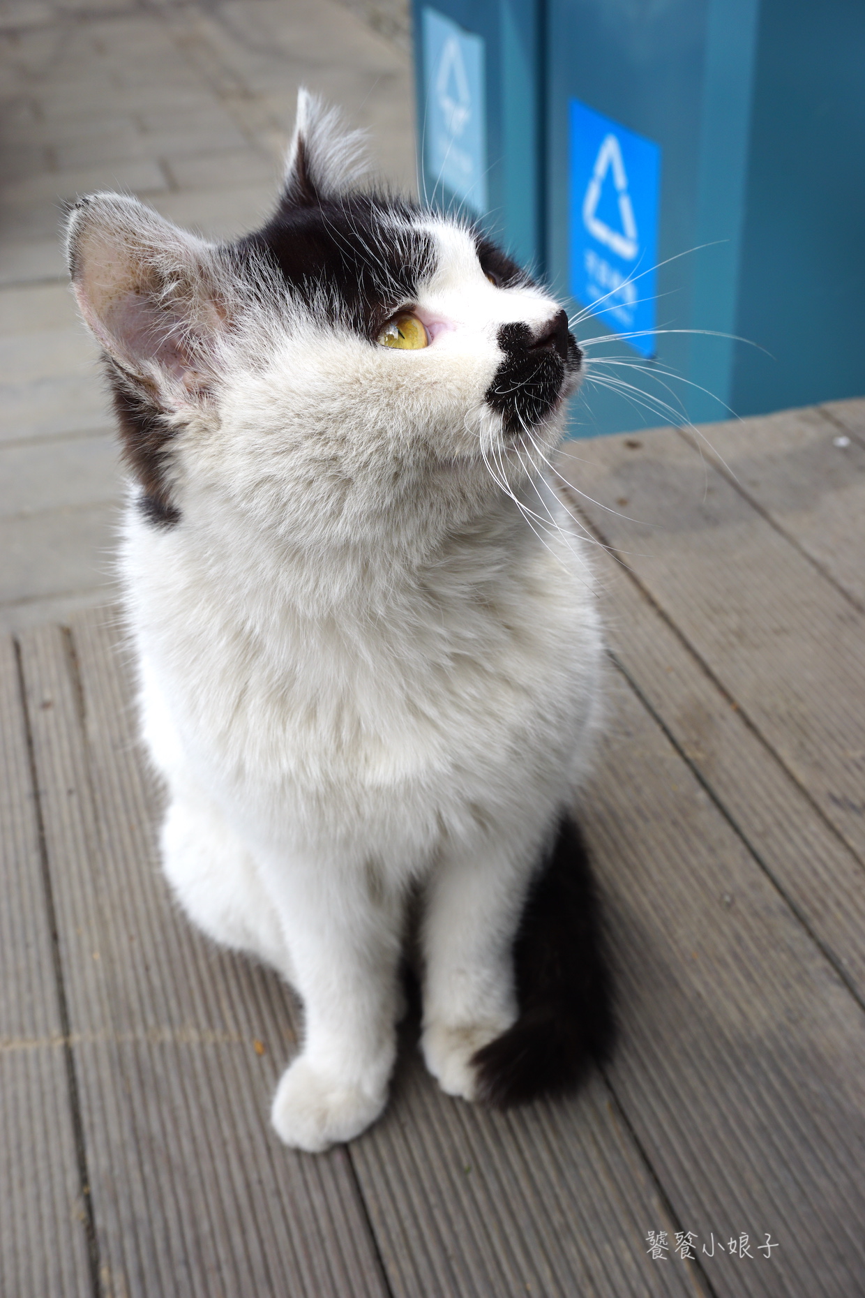 恭王府风水解读大全集,讲解恭王府风水